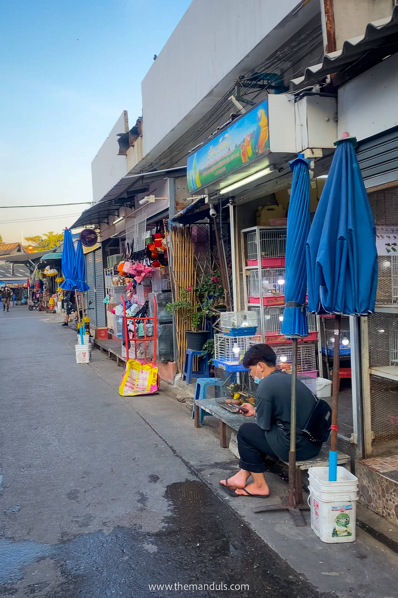 Chatuchak Weekend Market Bangkok 10 Chatuchak Weekend Market pet zone