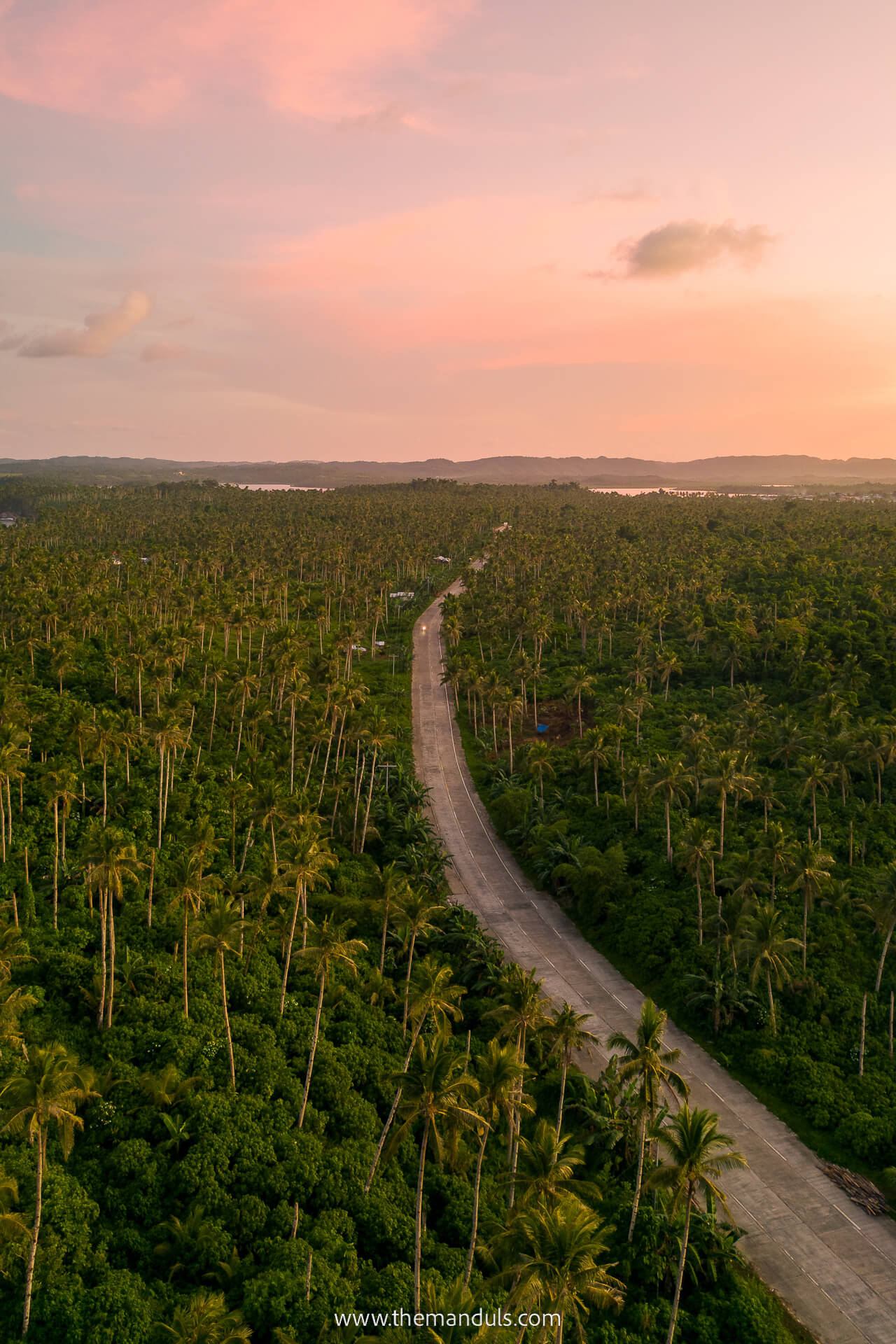 Coconut Road Siargao 