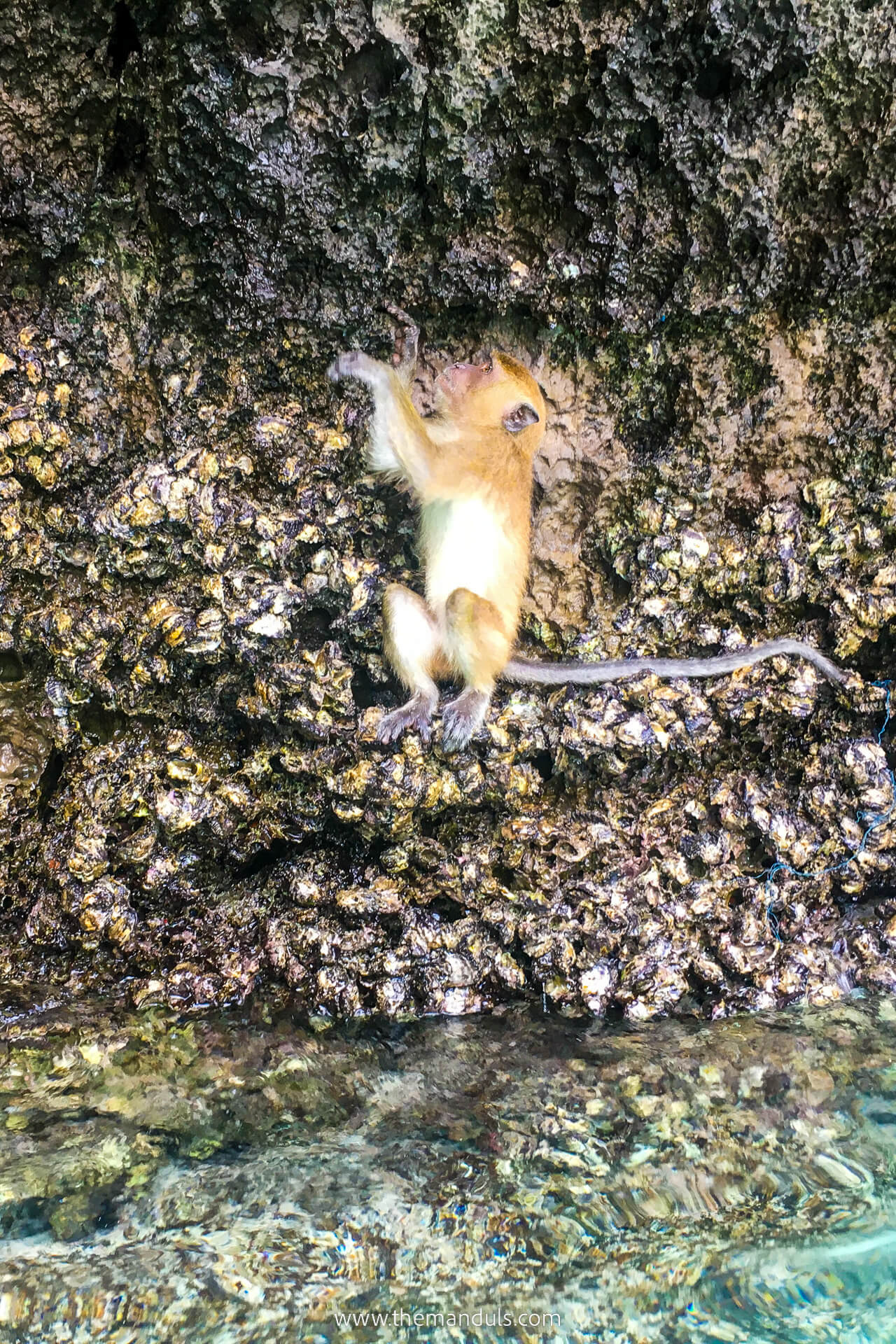 Phi Phi Islands - Monkey Beach 2 Phi Phi Islands - Monkey Beach