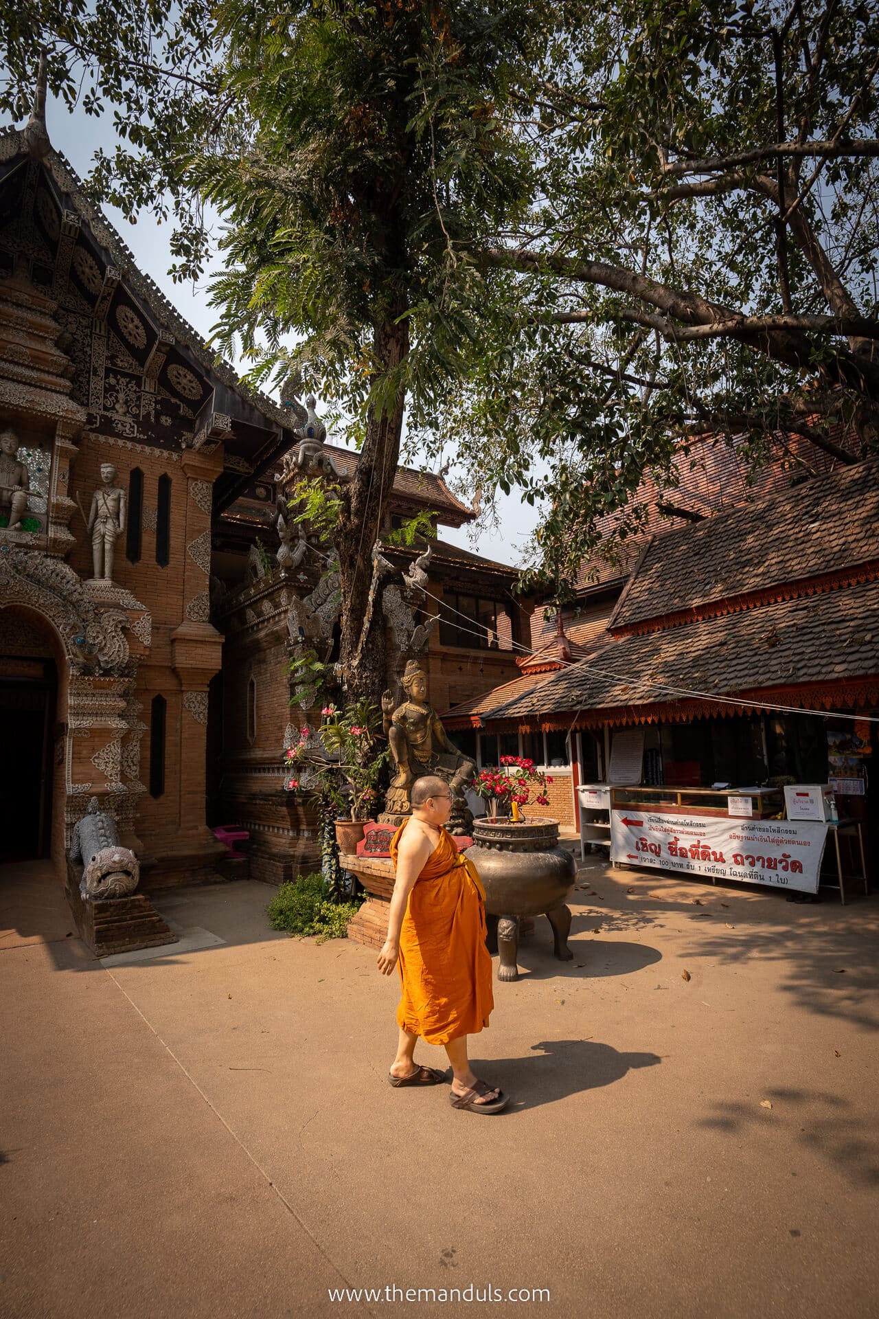 Chiang Mai Thailand monk Chiang Mai Thailand monk