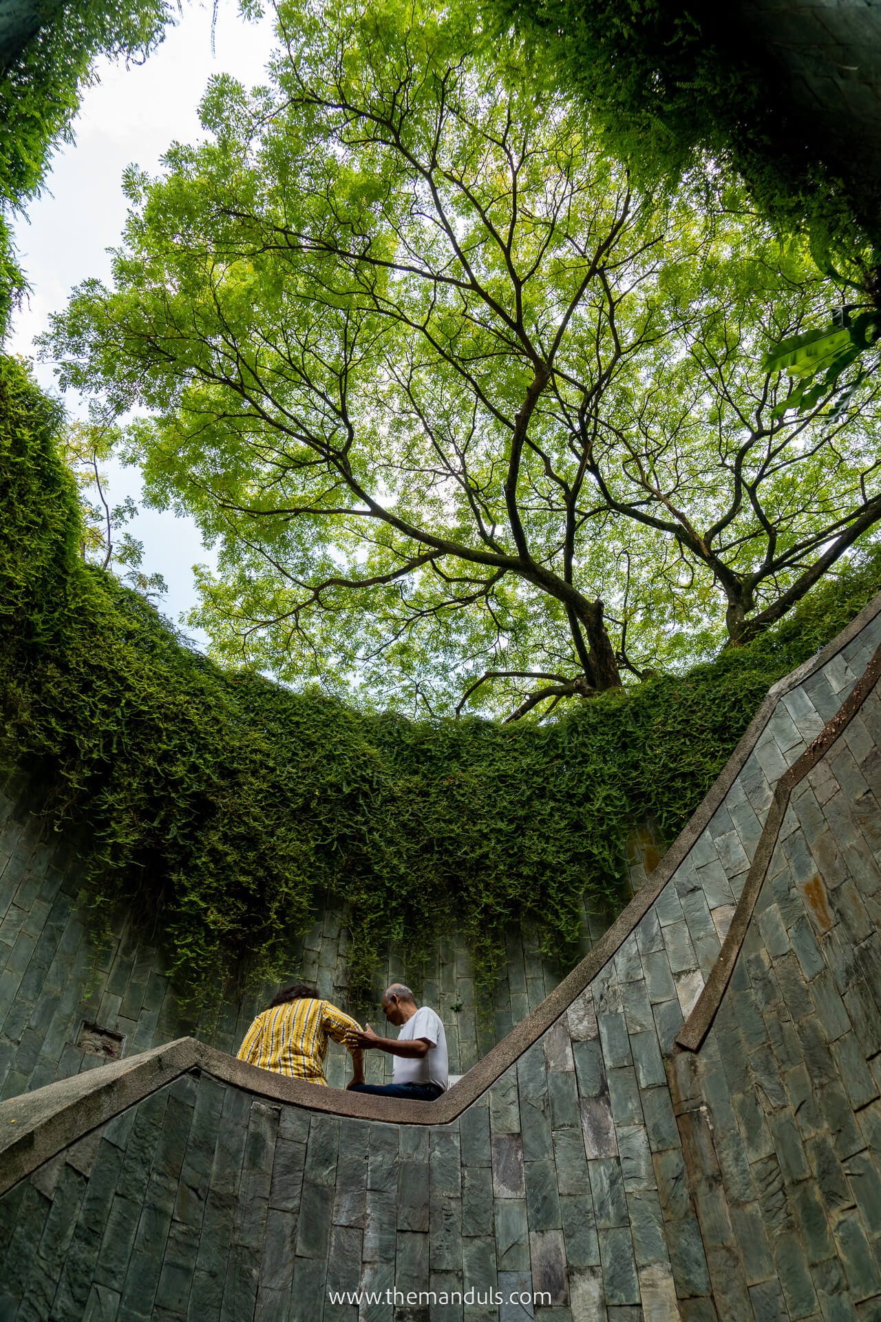Fort Canning Park Singapore tree stairway Fort Canning Park Singapore tree stairway