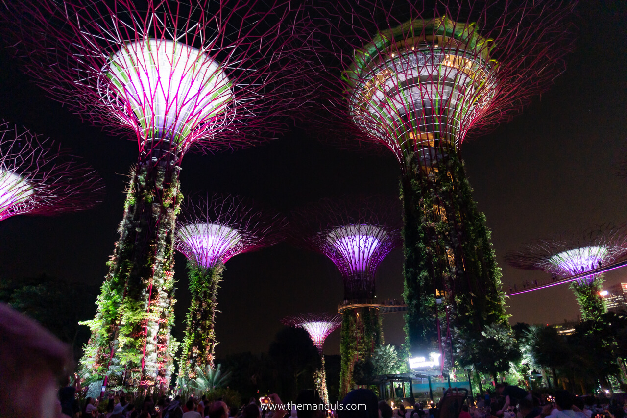 Gardens by the bay at night Singapore Gardens by the bay at night Singapore
