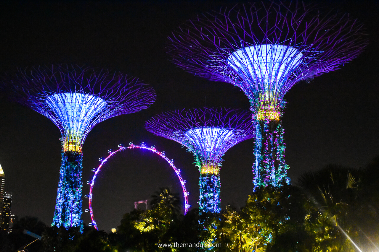 Gardens by the bay at night Singapore 20 Gardens by the bay at night Singapore 20