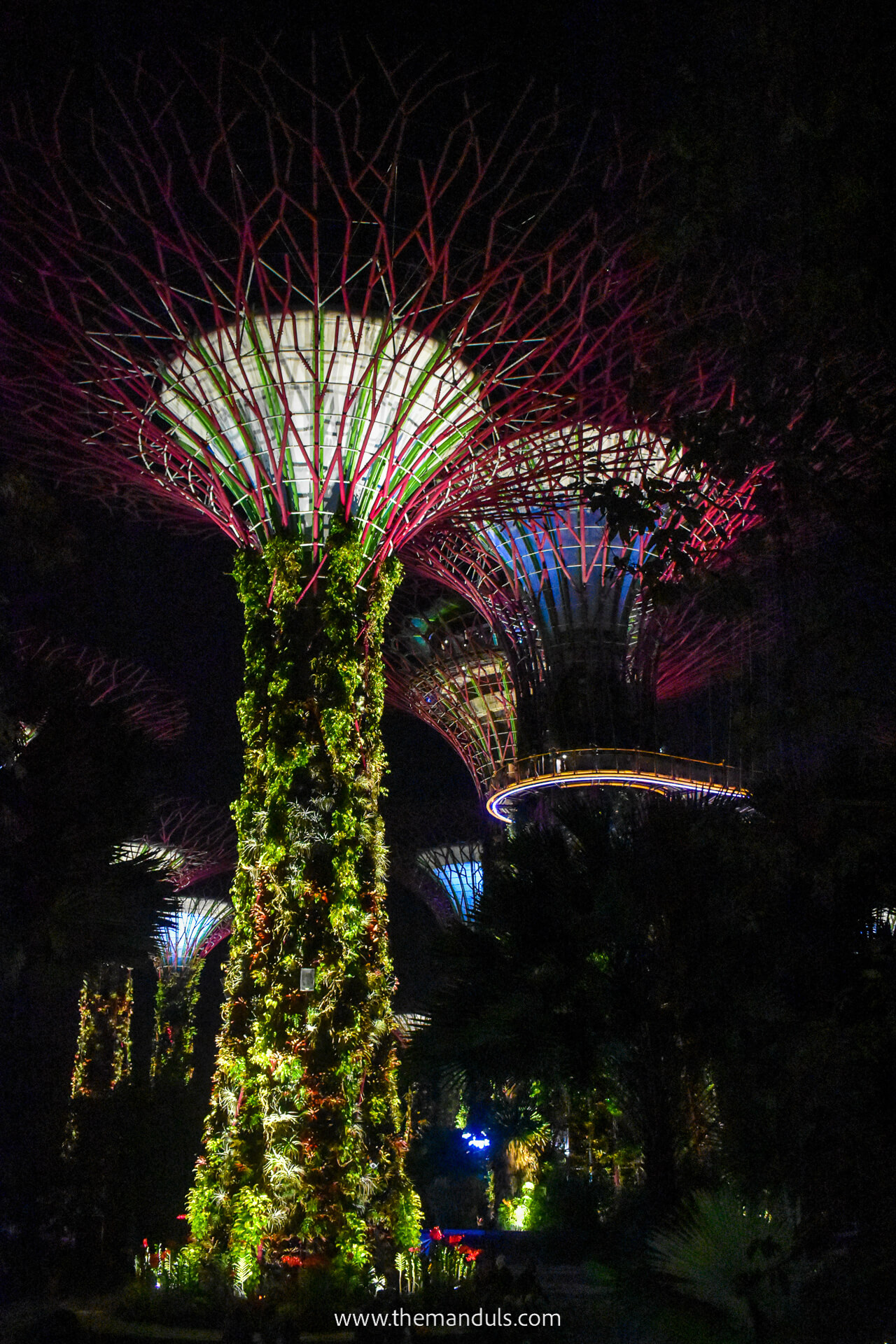 Gardens by the bay at night singapore Gardens by the bay at night singapore