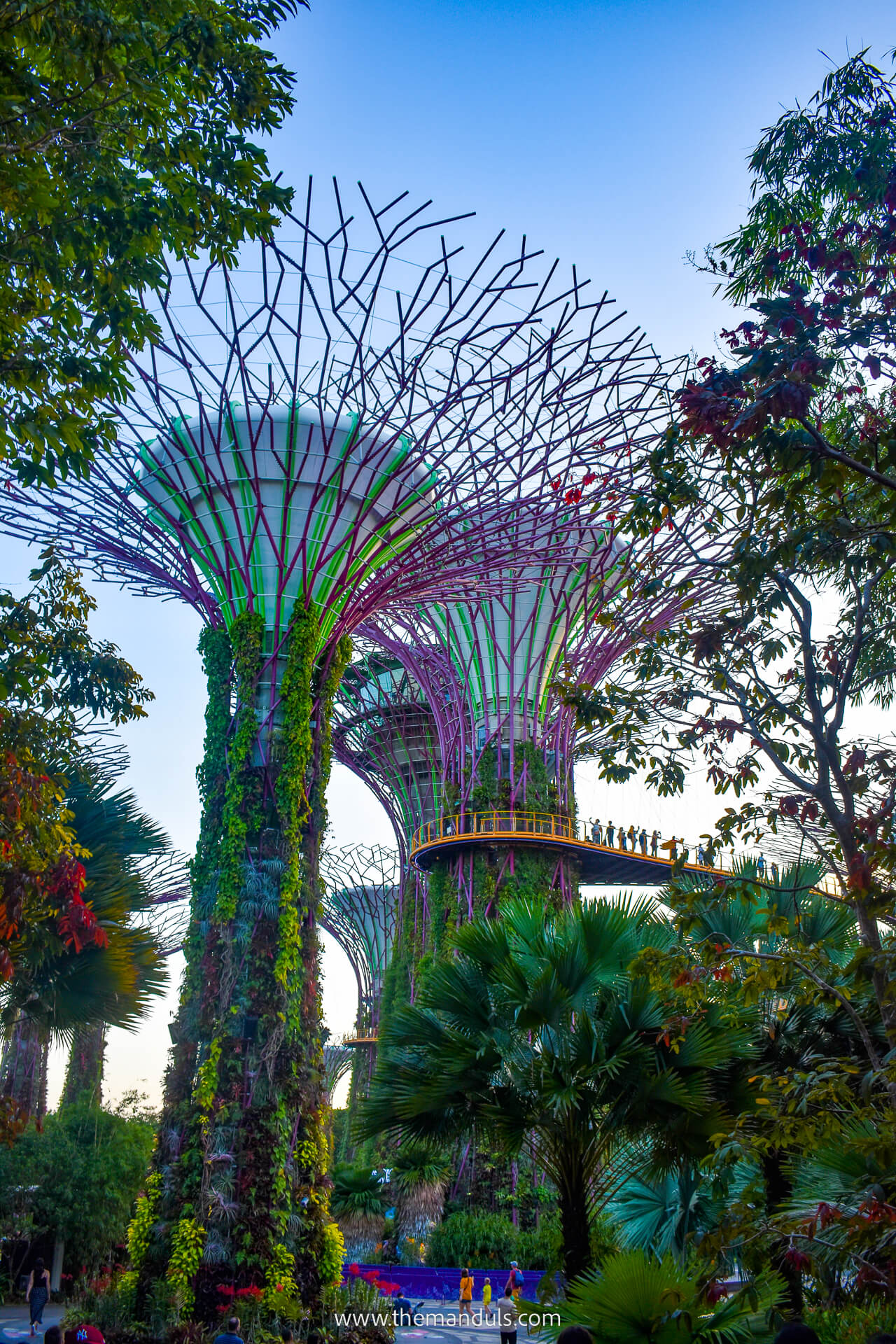 Gardens by the bay singapore 45 Gardens by the bay singapore 45
