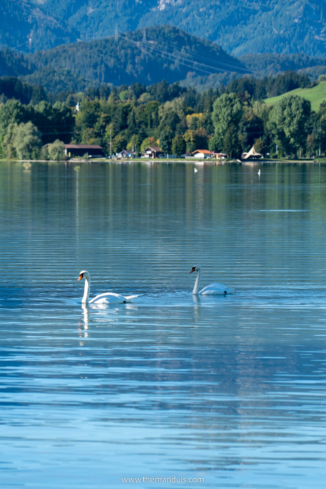 Lake Forggensee Schwangau 13 Lake Forggensee Schwangau