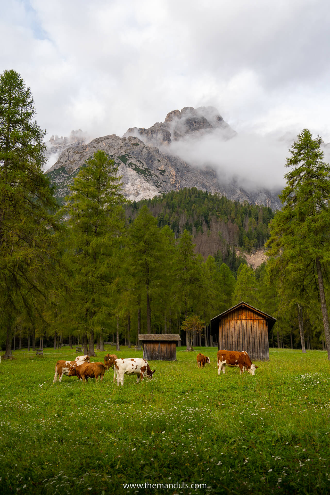 Val Fiscalina, Fischleintal Dolomites Italy 21 Val Fiscalina, Fischleintal Dolomites Italy