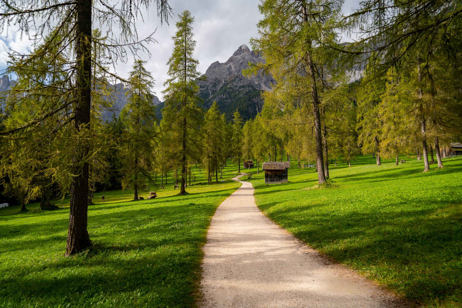 Val Fiscalina, Fischleintal Dolomites Italy