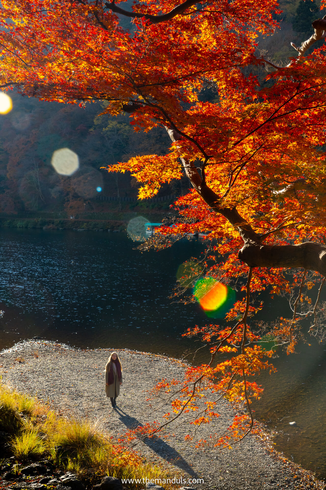 Arashiyama park Kyoto