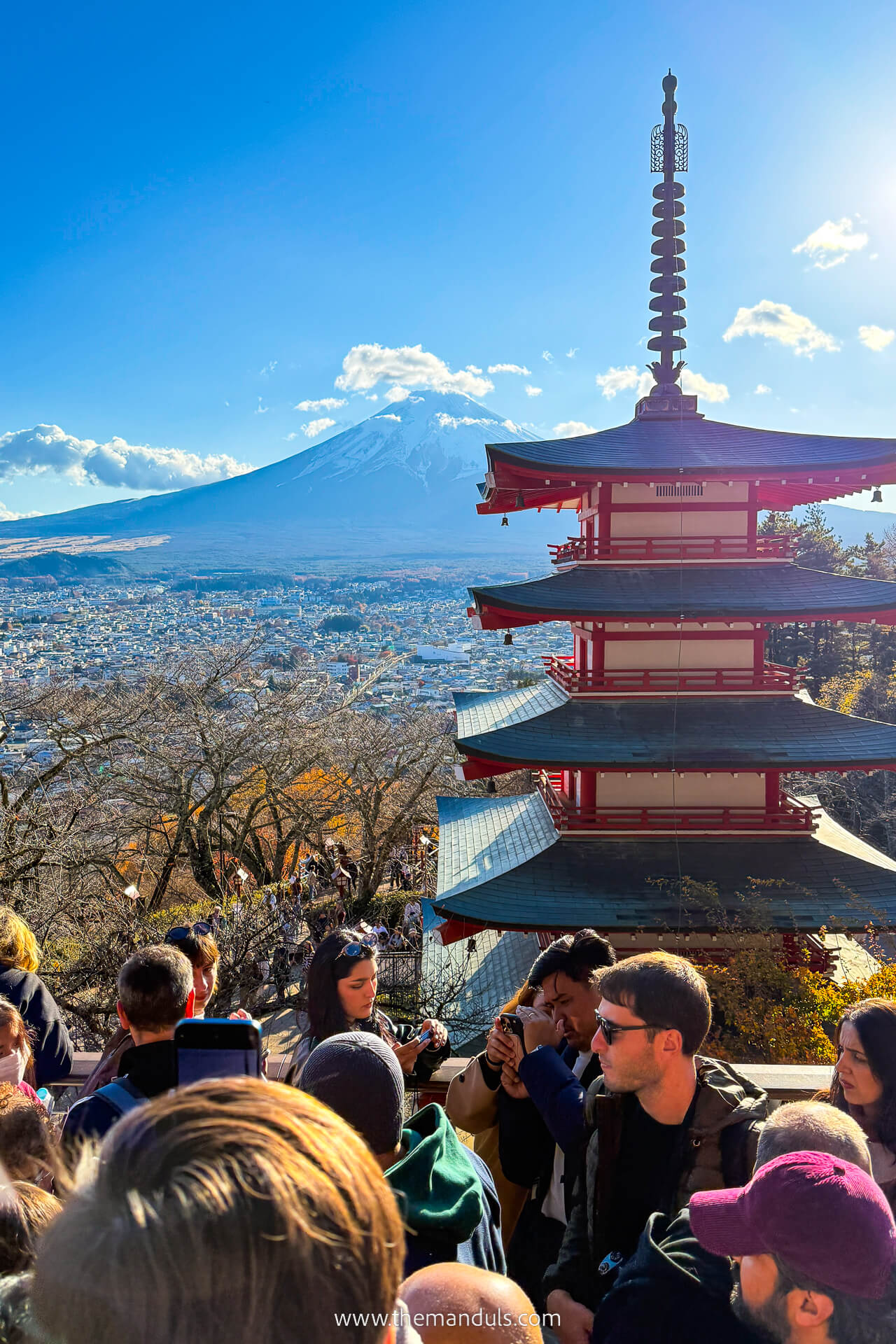 Chureito Pagoda Mount Fuji