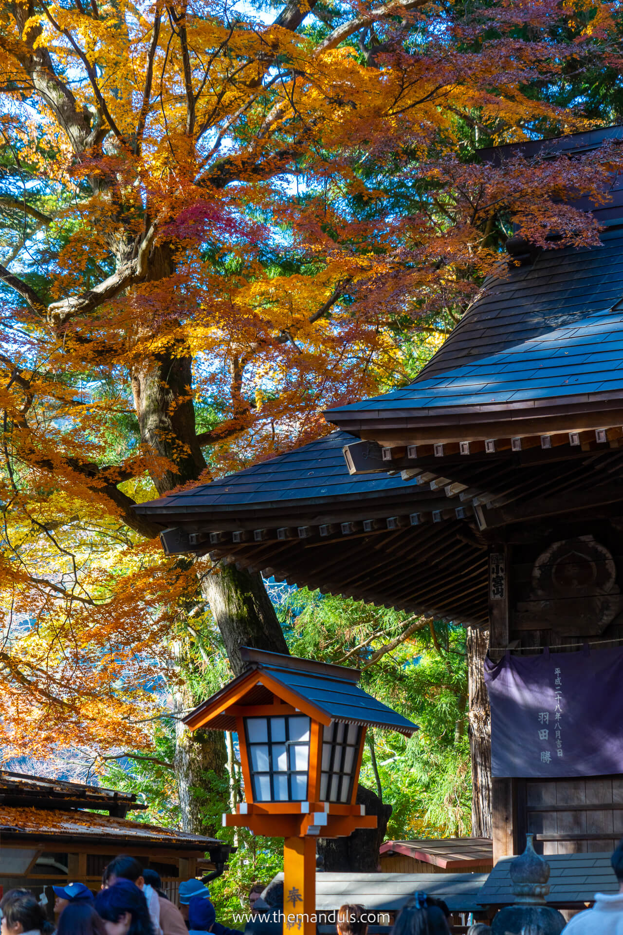 Chureito Pagoda Mount Fuji 22 Chureito Pagoda Mount Fuji