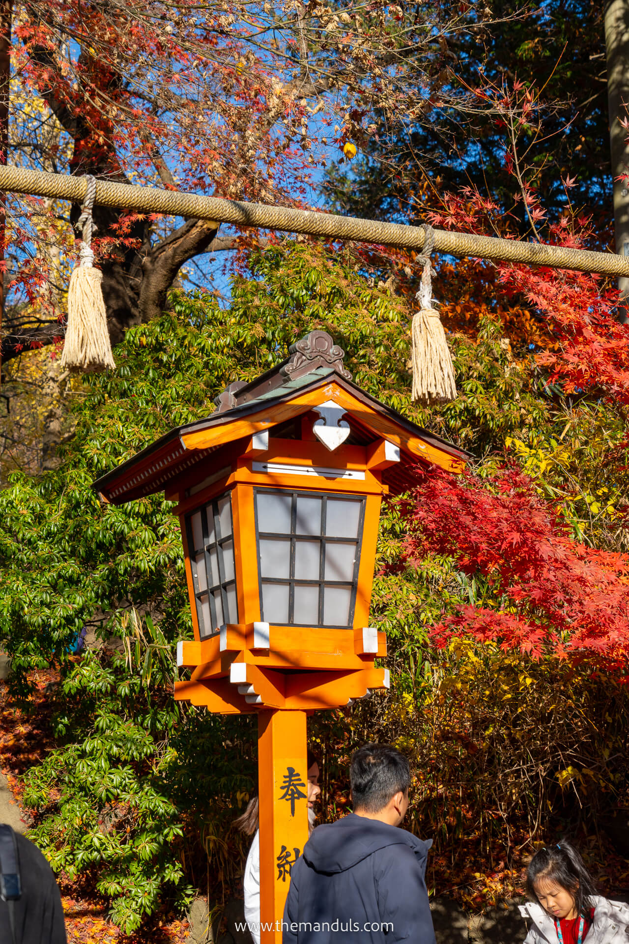 Chureito Pagoda Mount Fuji 4 Chureito Pagoda Mount Fuji