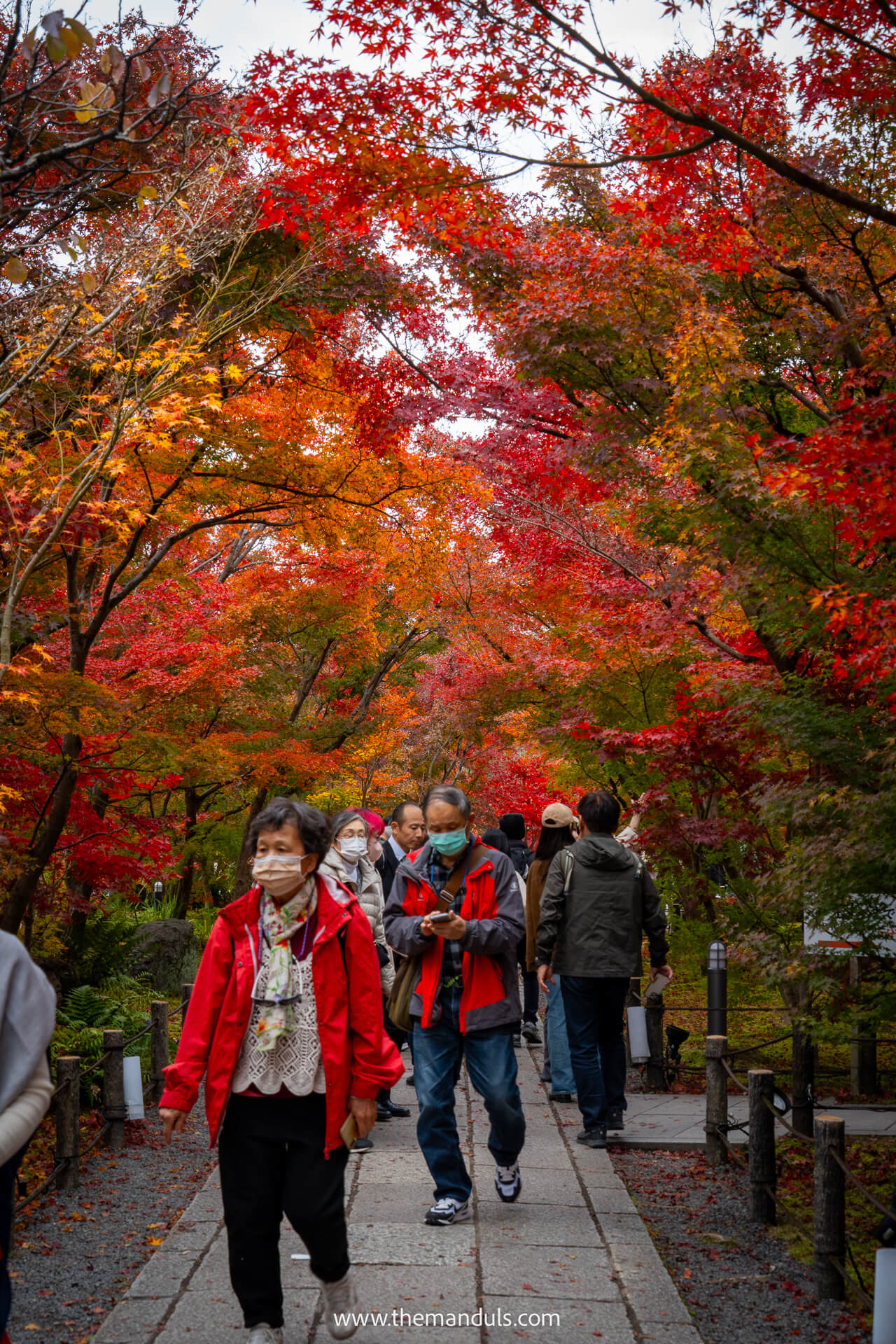 Eikando temple Kyoto