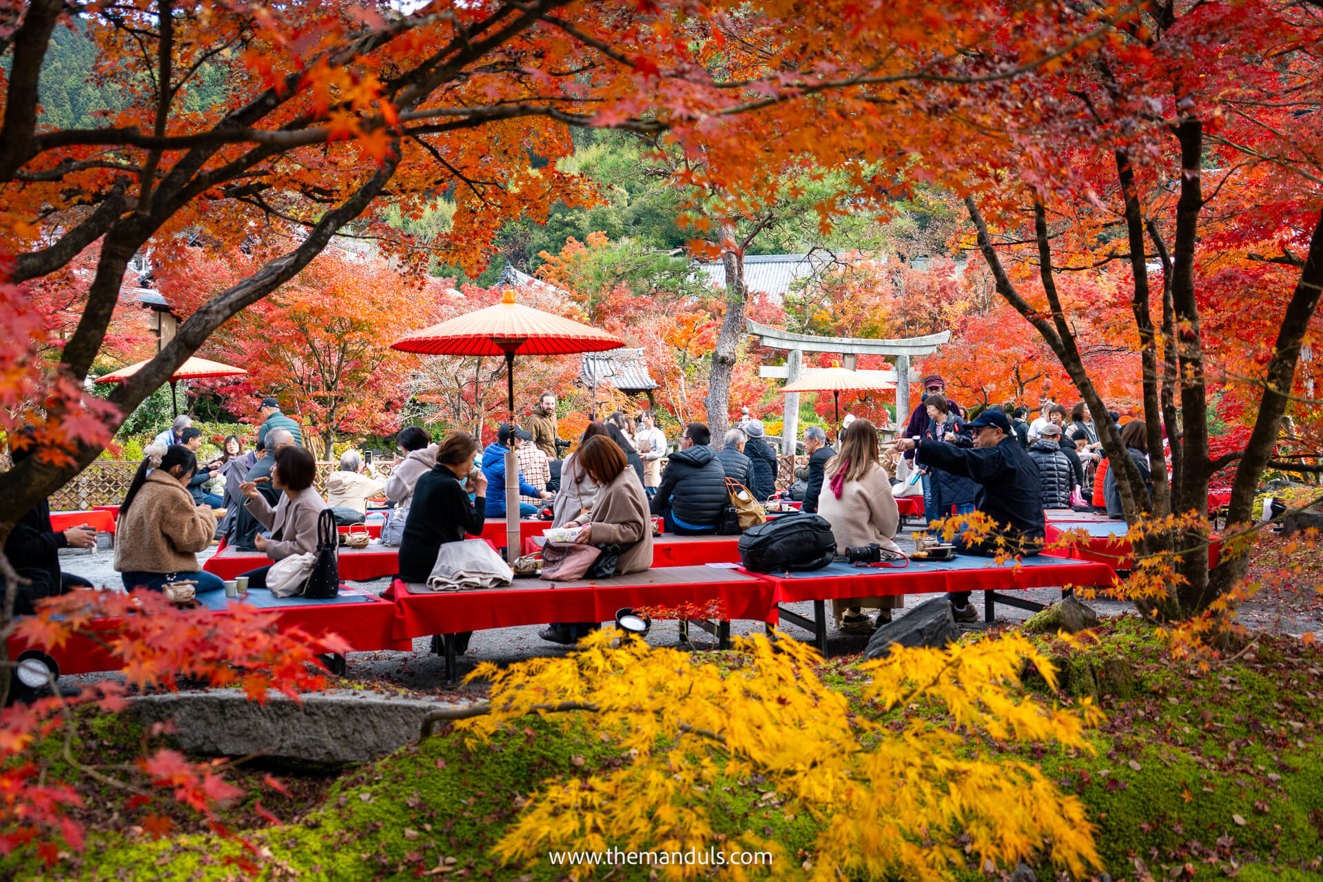 Eikando temple Kyoto
