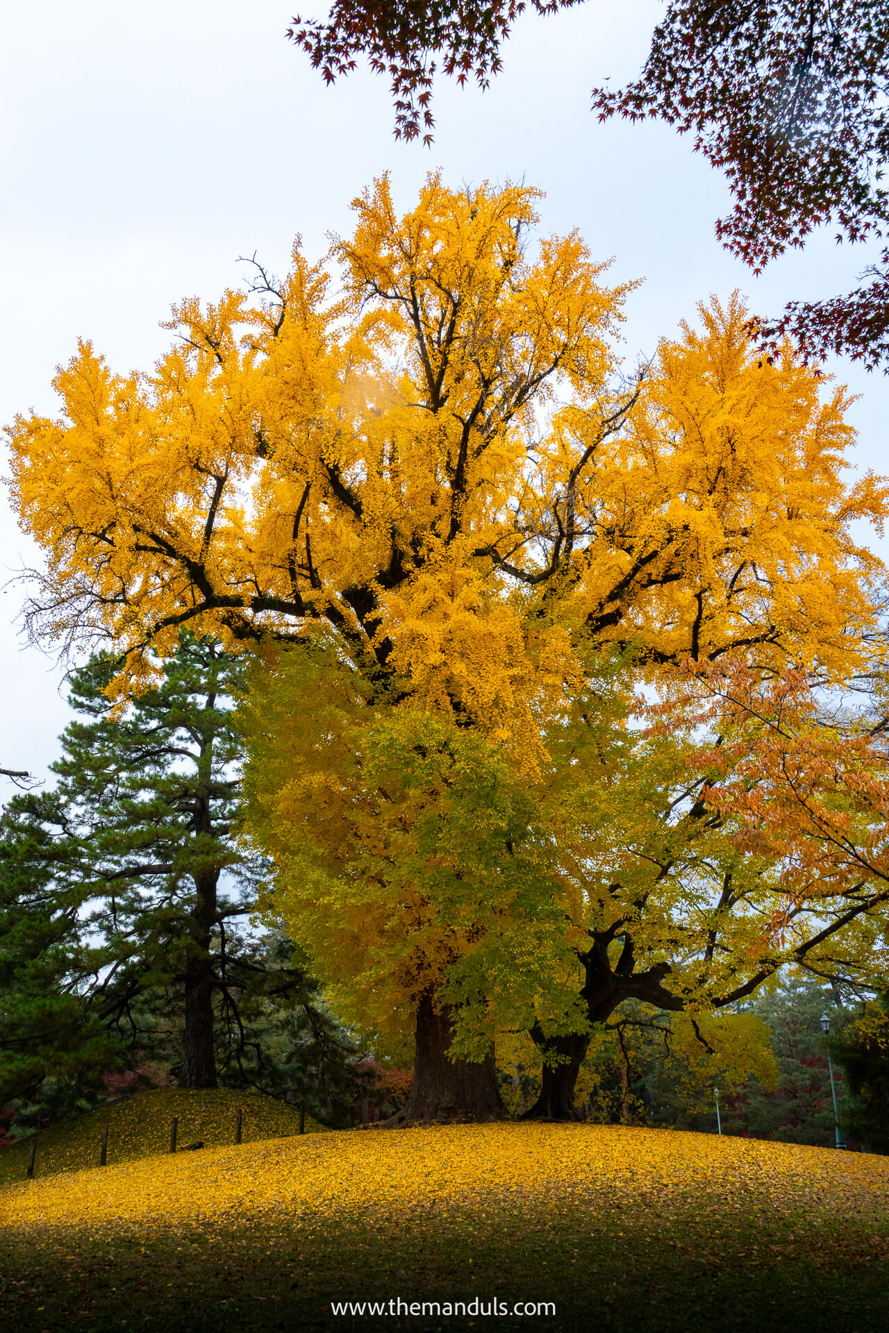 Kyoto Goyen National Garden