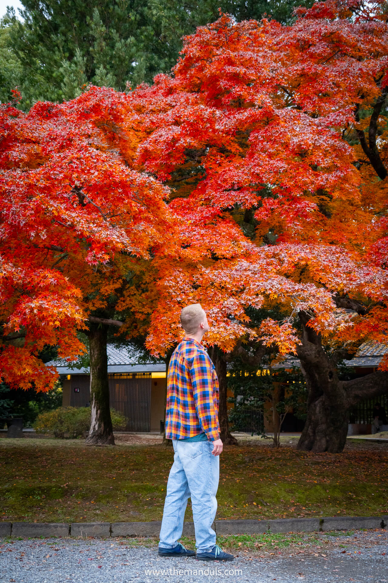 Kyoto Goyen National Garden