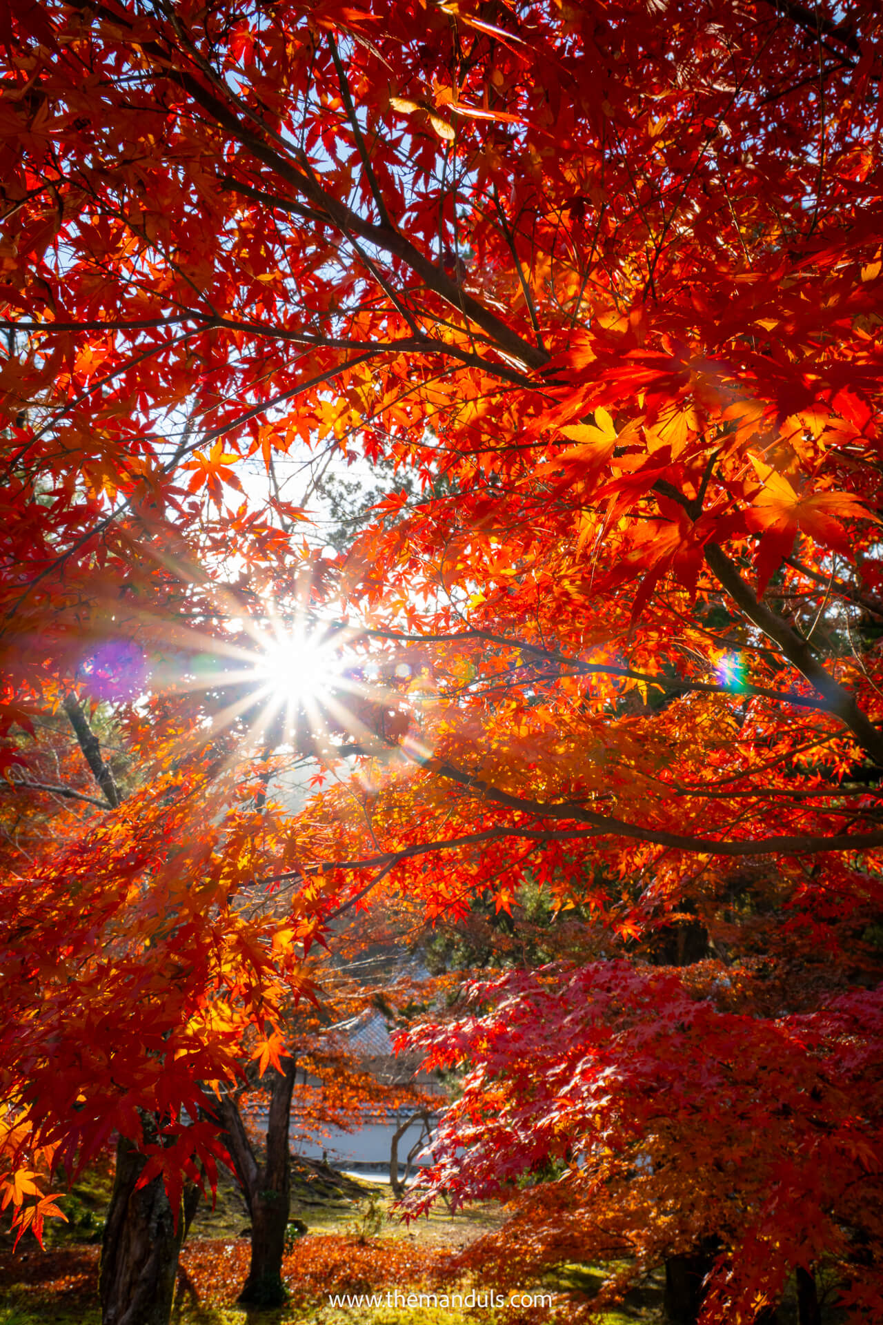 Kyoto autumn fall foliage 1 Kyoto autumn fall foliage