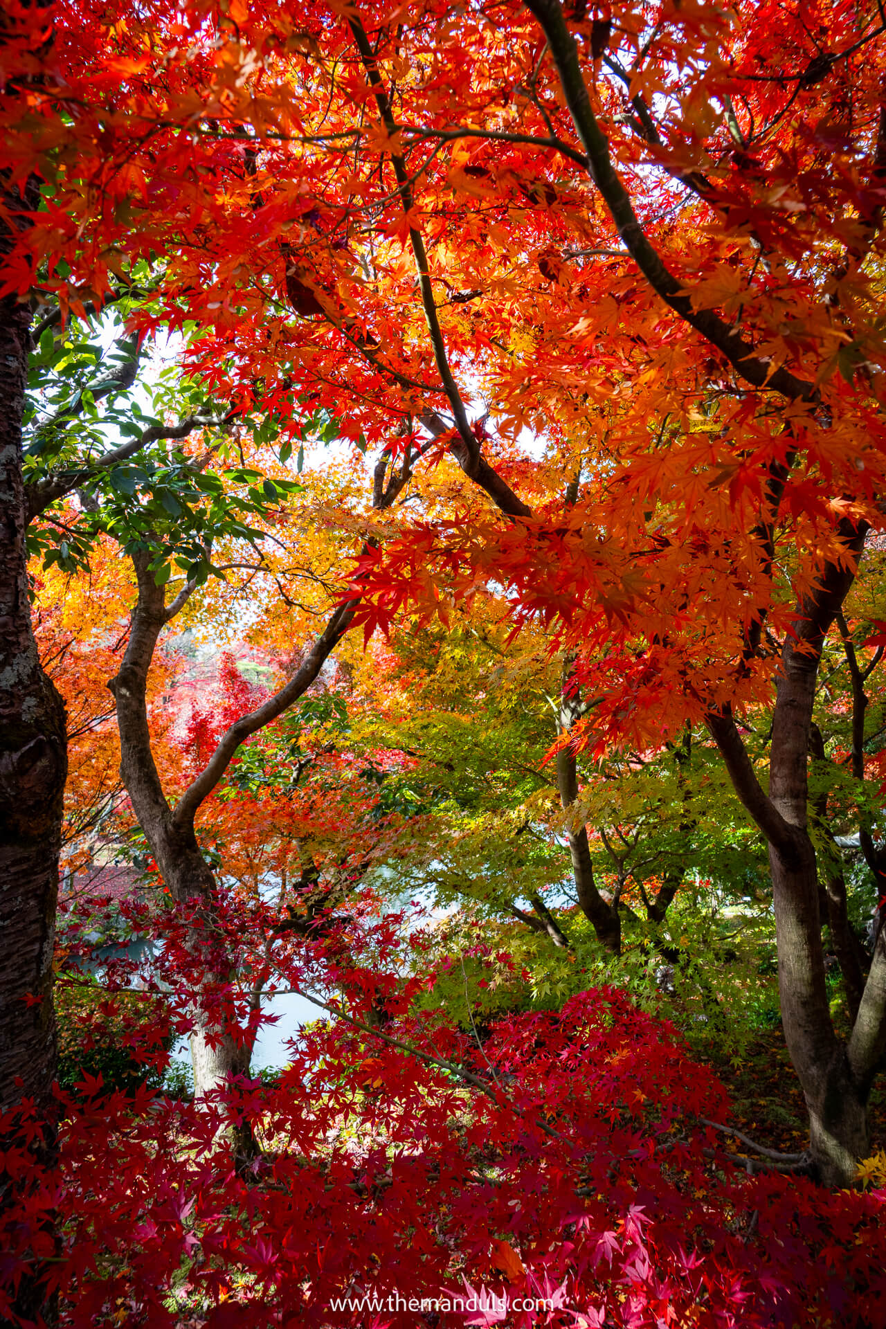 Kyoto autumn fall foliage Kyoto autumn fall foliage