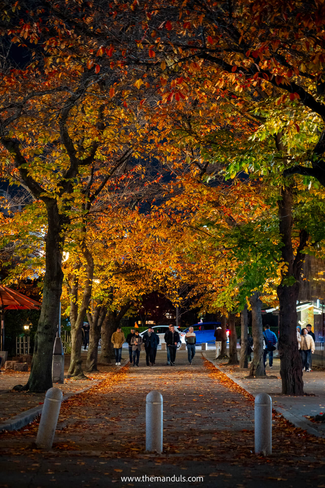 Kyoto street at night Kyoto street at night