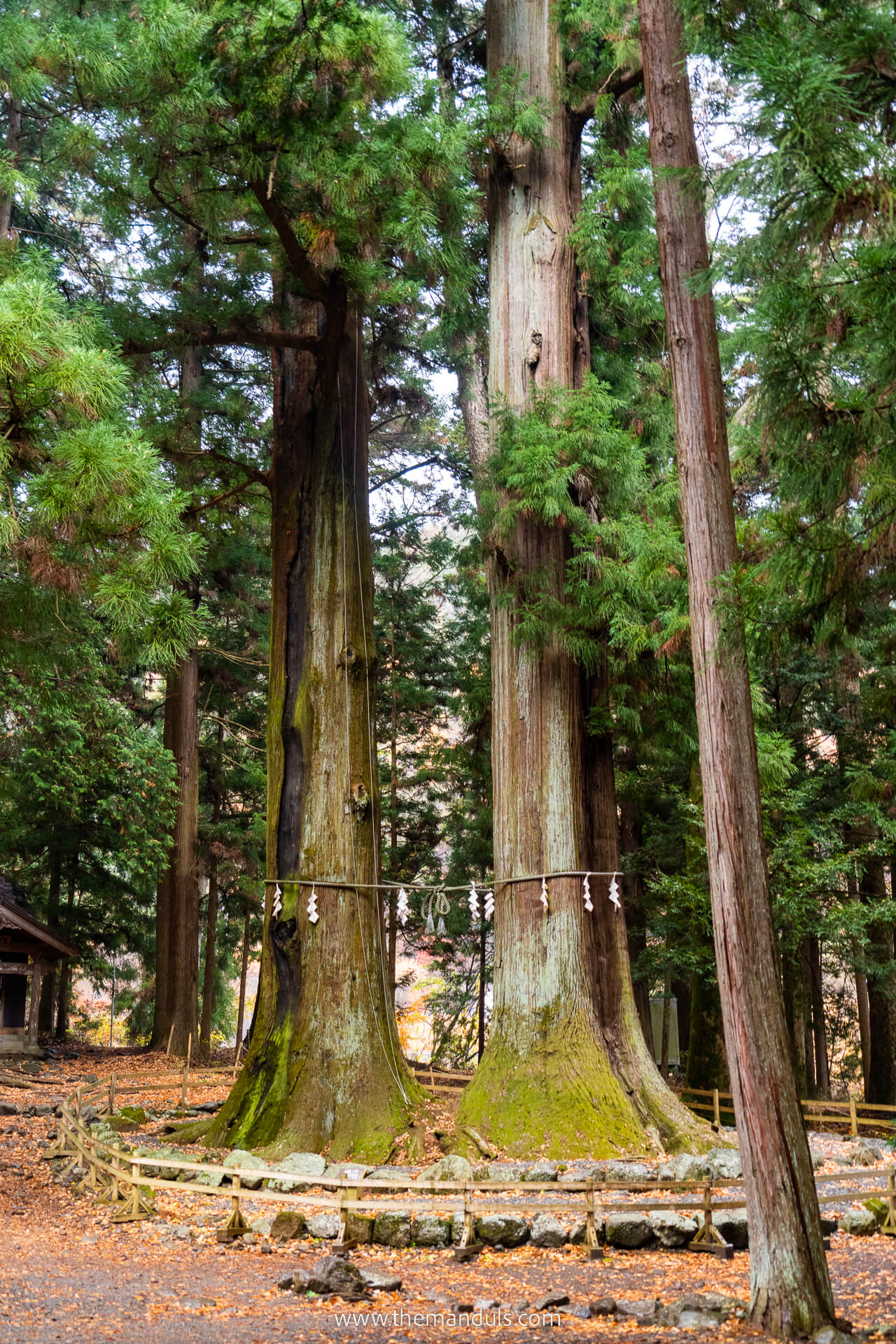 Mount Fuji Asama Shrine