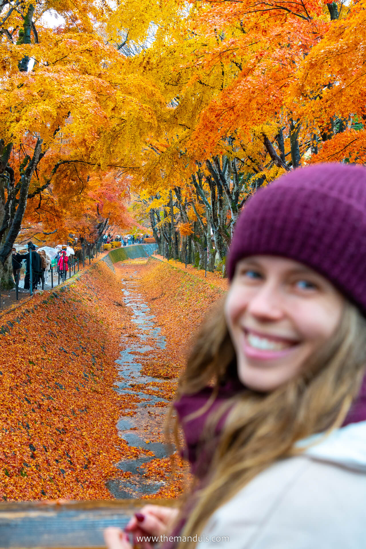Mount Fuji Momiji Corridor