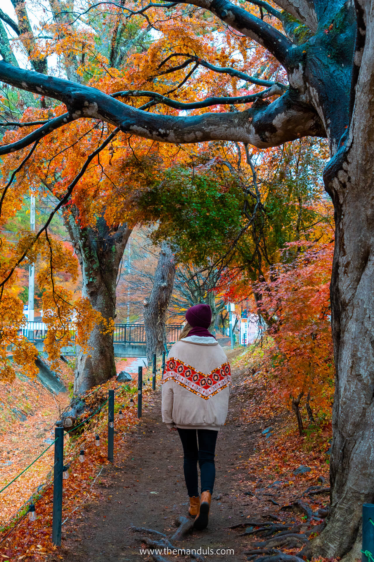 Mount Fuji Momiji Corridor
