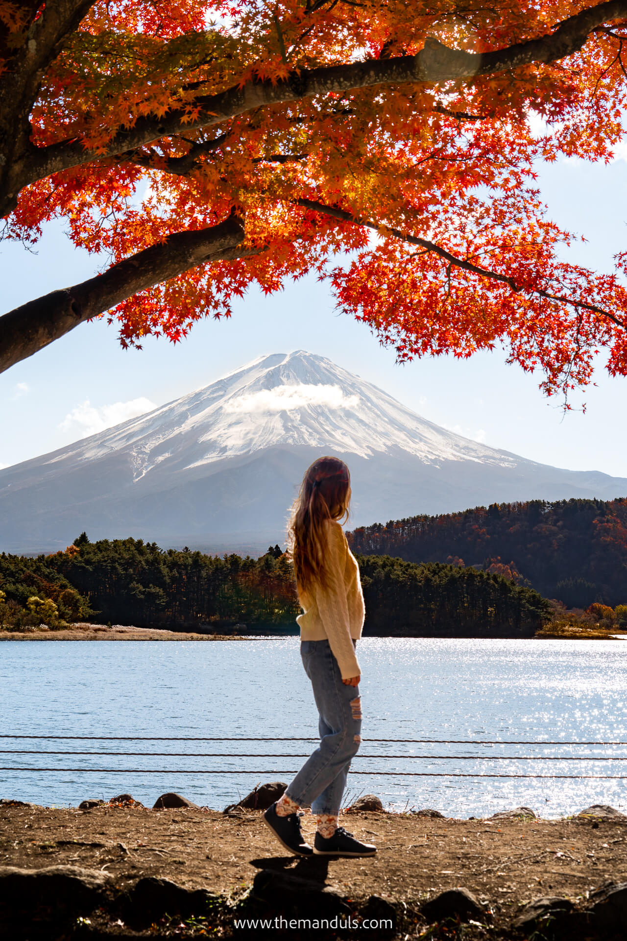 Mount Fuji Momiji tunnel