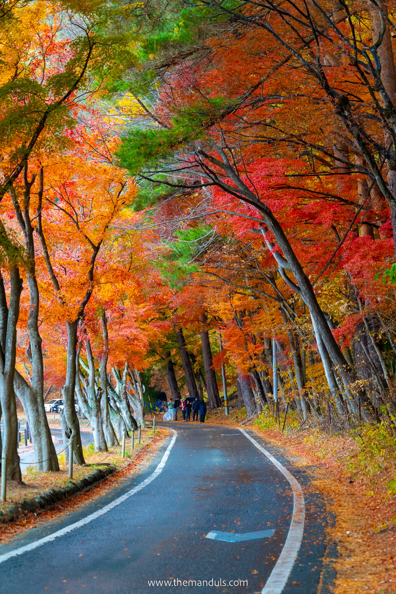 Mount Fuji Momiji tunnel
