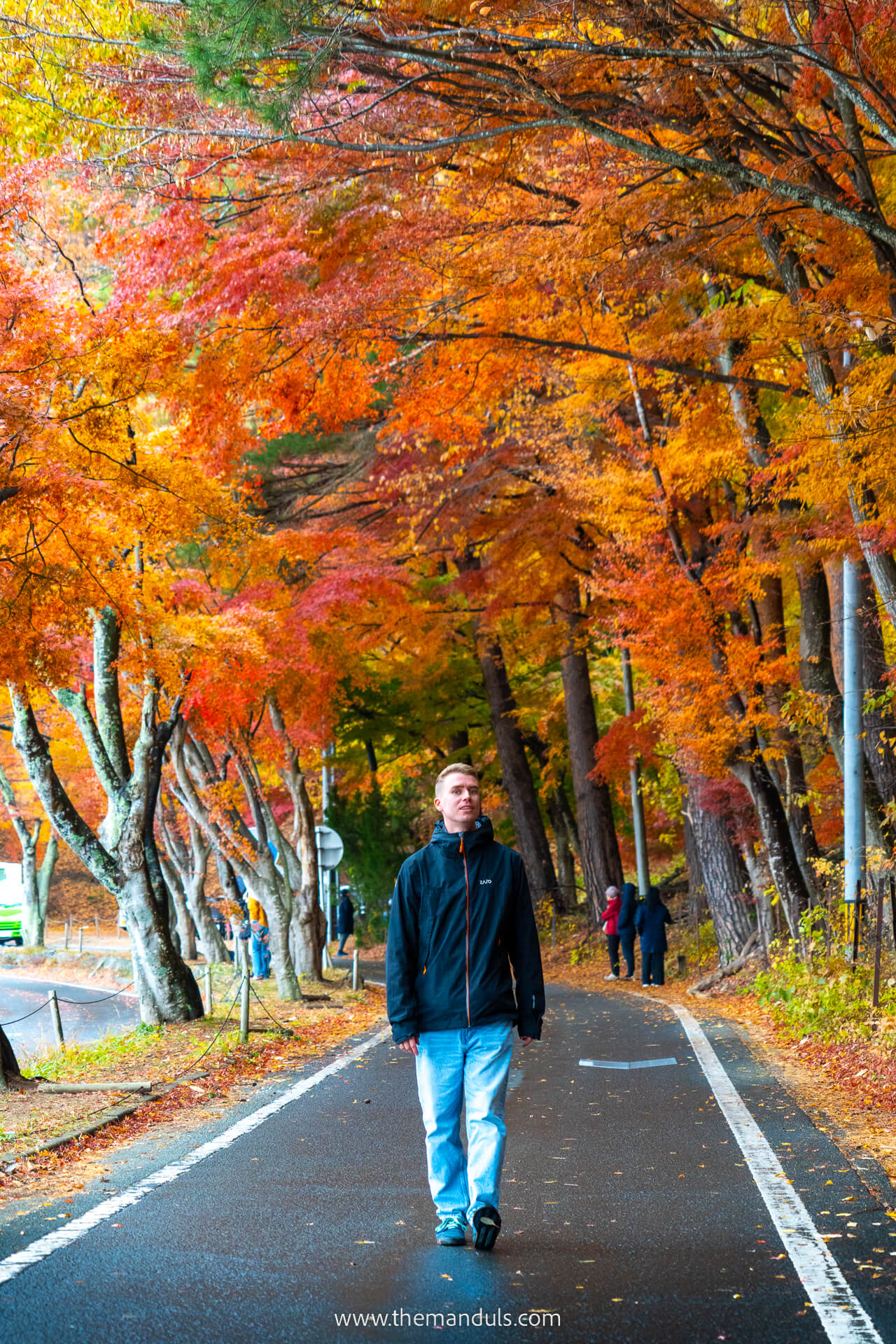 Mount Fuji Momiji tunnel