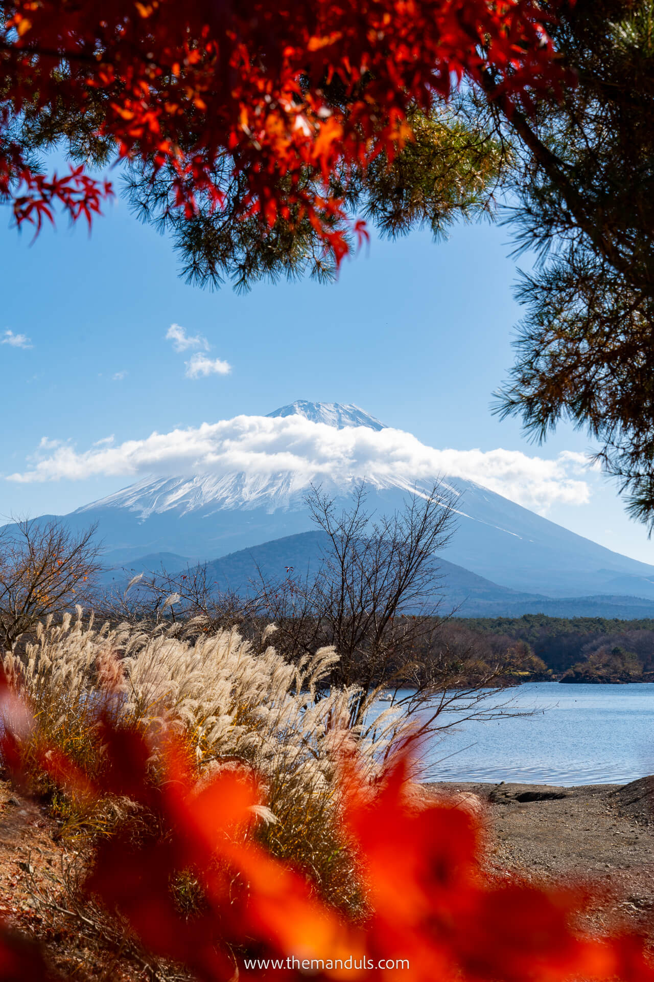 Mount Fuji Tatego Hama Beach Lake Shoji