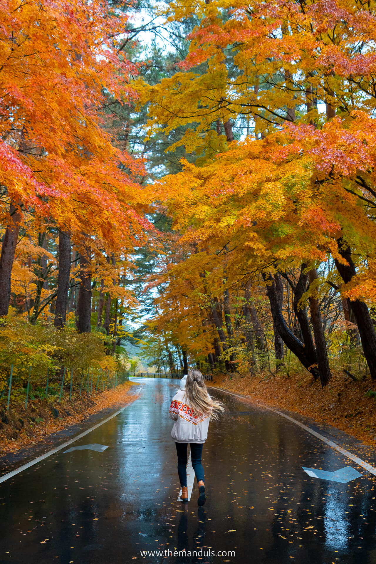 Mount Fuji autumn foliage