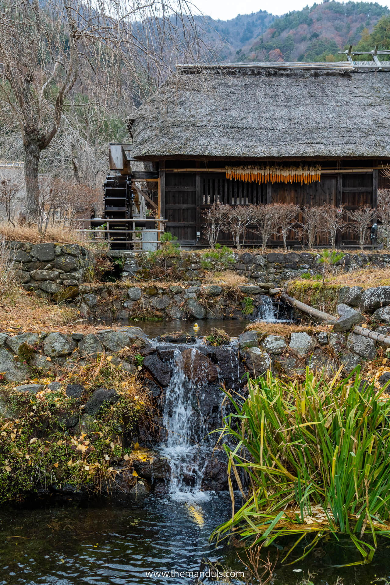 Saiko Iyashi-no-Sato Nemba