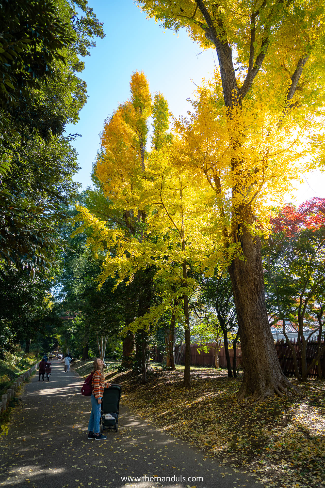 Shinjuku Gyoen National Garden Tokyo