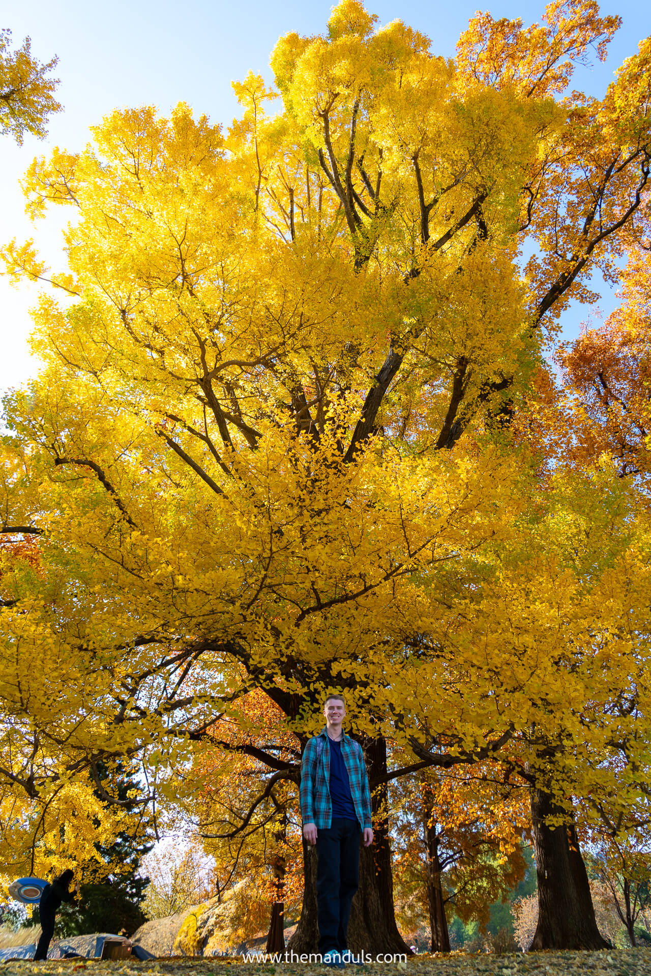 Shinjuku Gyoen National Garden Tokyo