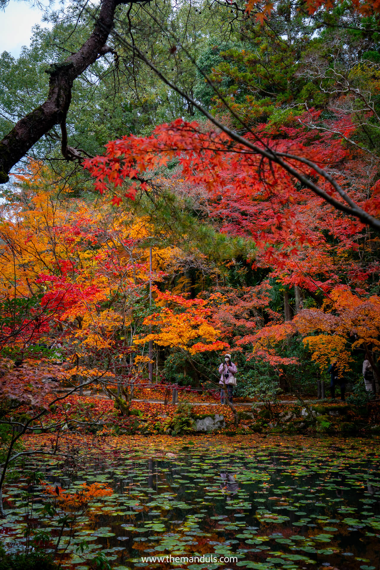 Tenjuan Temple Kyoto