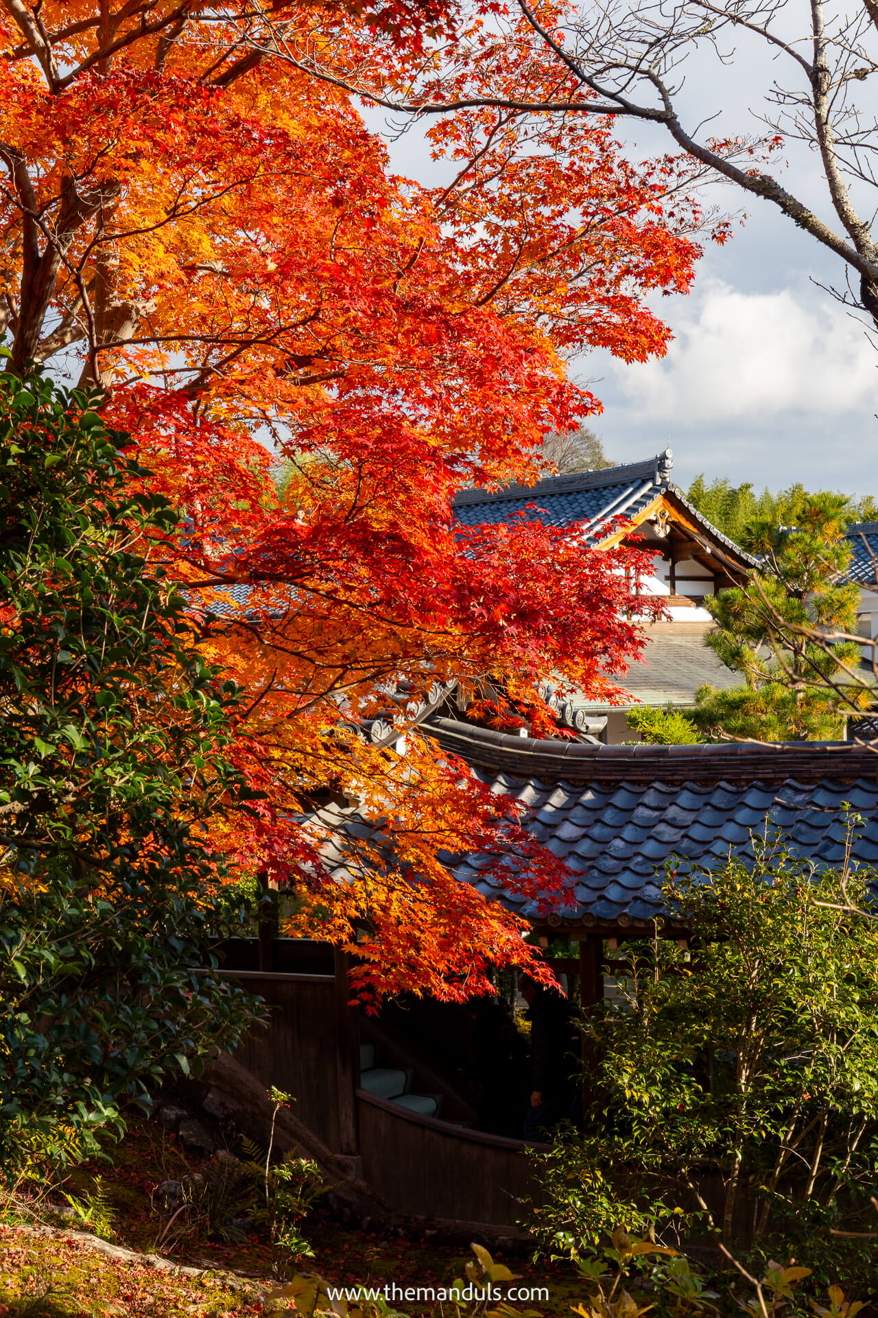 Tenryu-ji Temple Arashiyama Kyoto