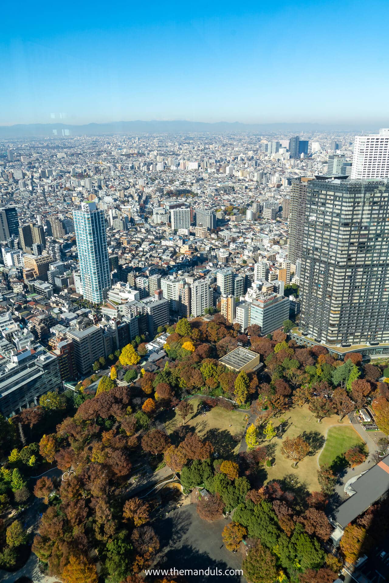 The view of Tokyo from Metropolitan Government bulding