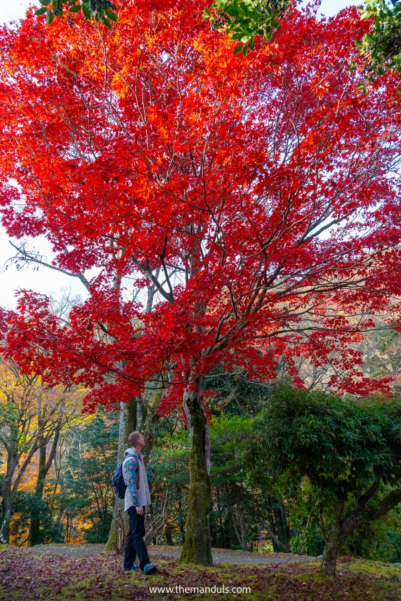 Arashiyama Park Kyoto