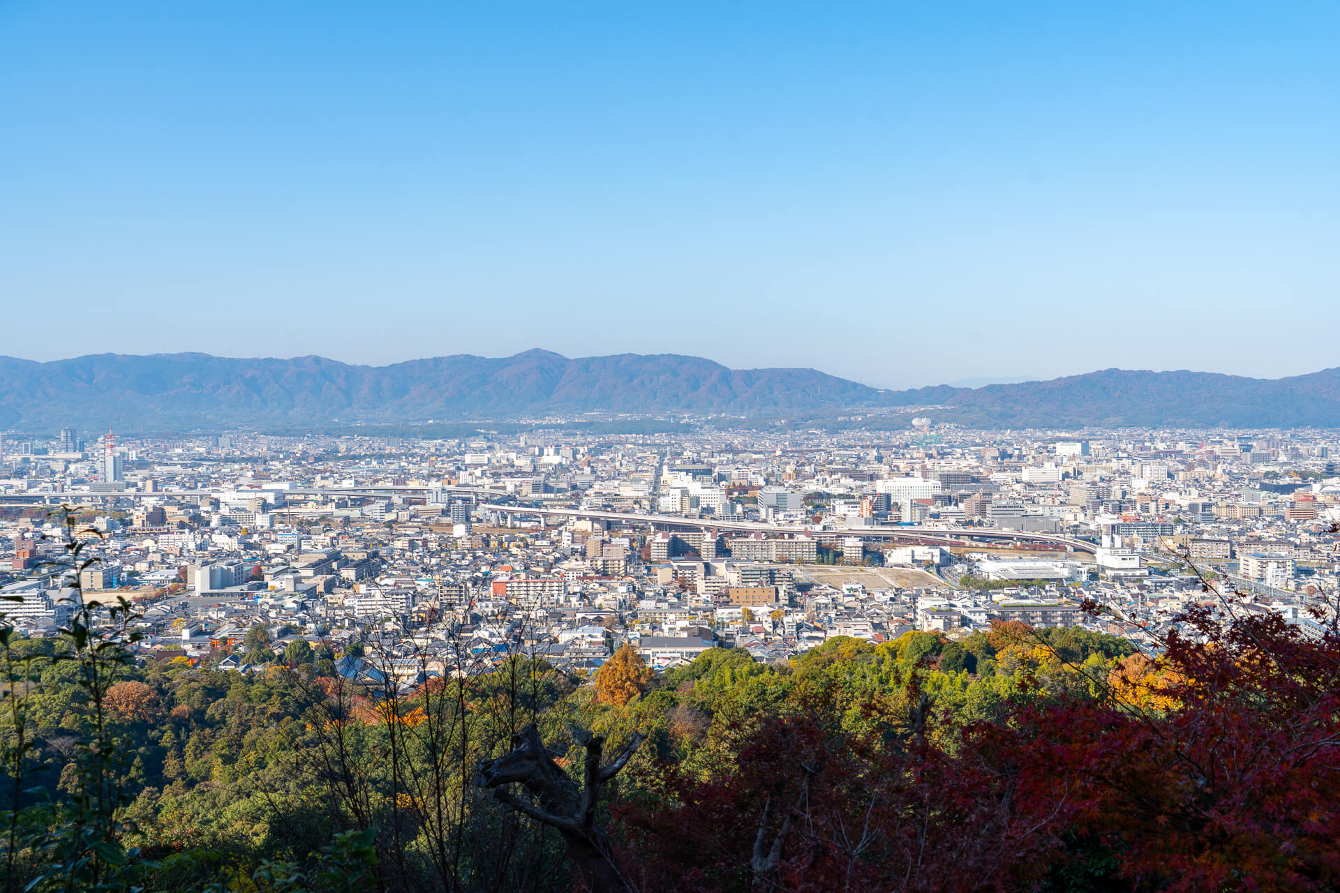 Best time to visit Kyoto