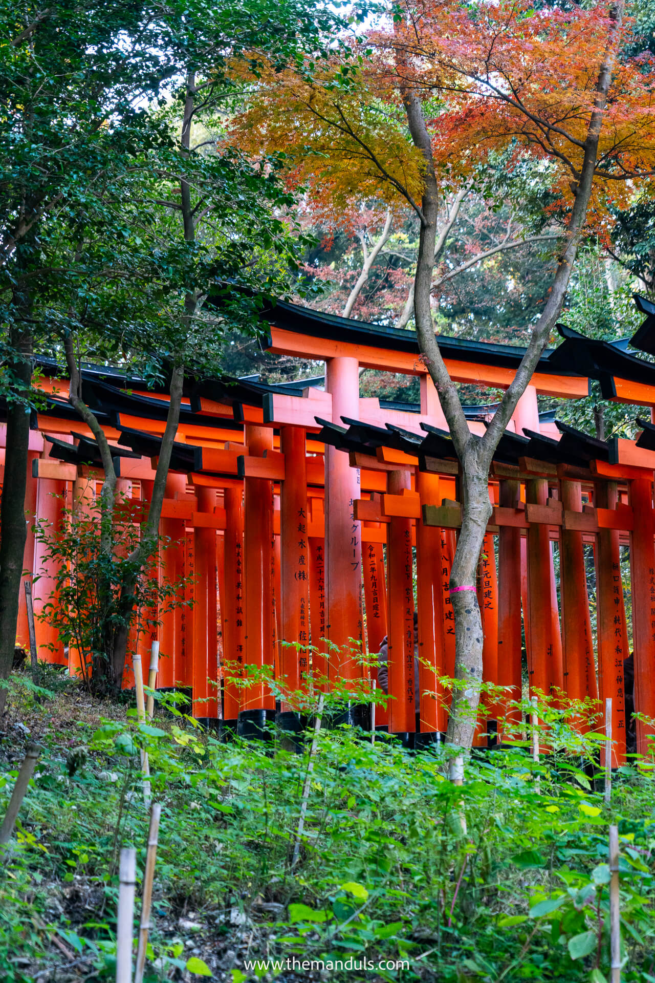 Fushimi Inari Taisha Kyoto 8 Fushimi Inari Taisha Kyoto
