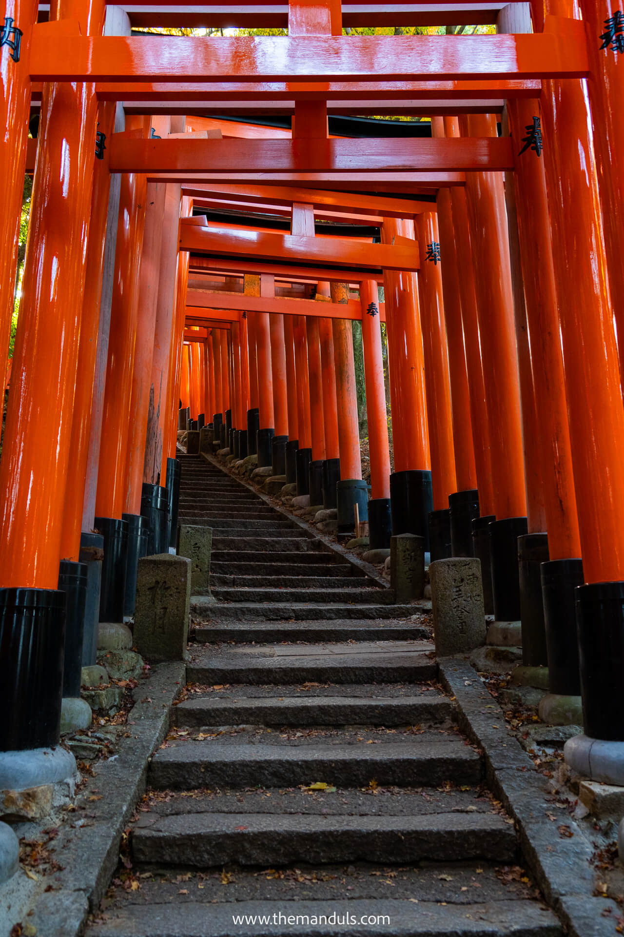 Fushimi Inari Taisha Kyoto 9 Fushimi Inari Taisha Kyoto