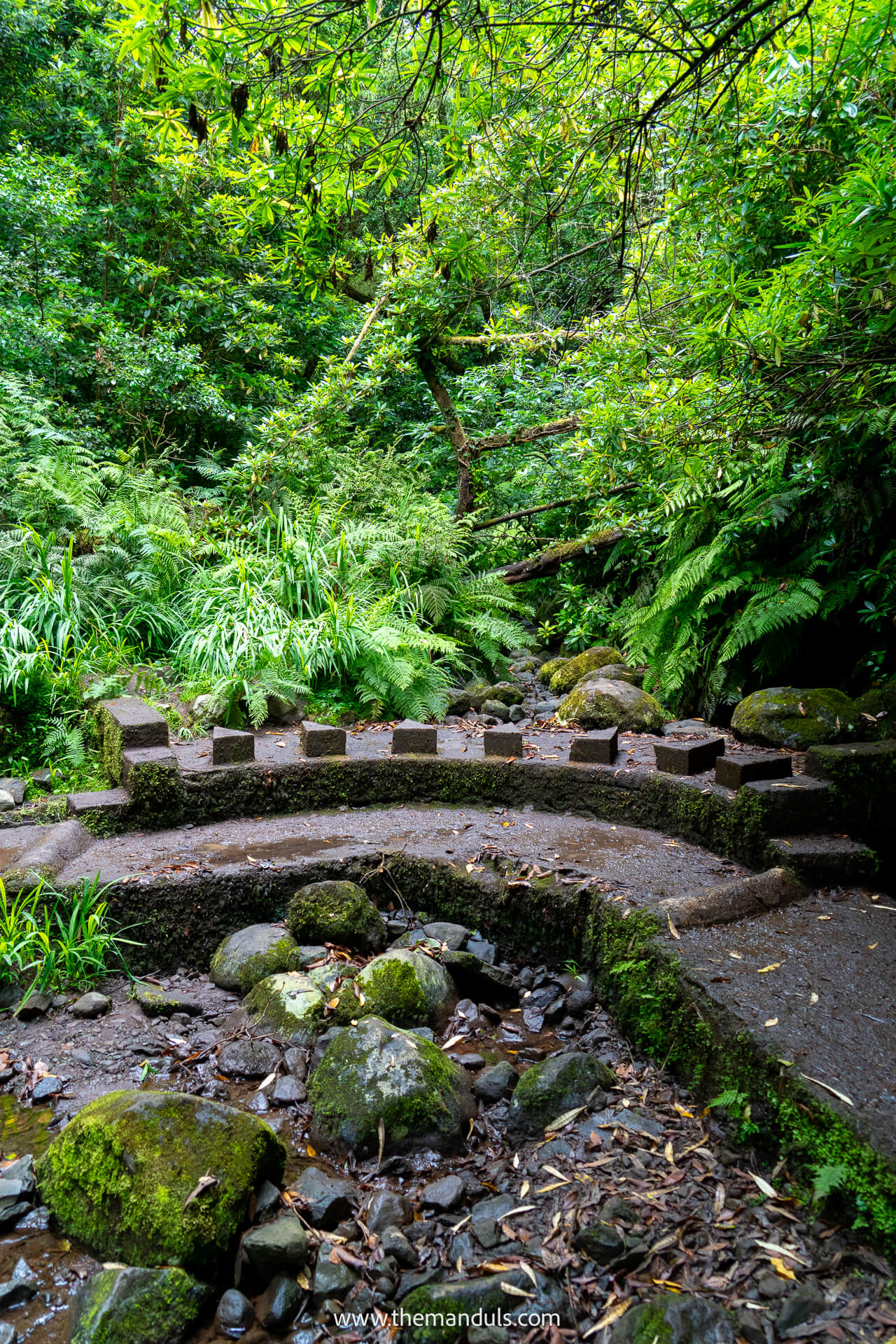 Levada do Rei hike Madeira 13 Levada do Rei hike Madeira