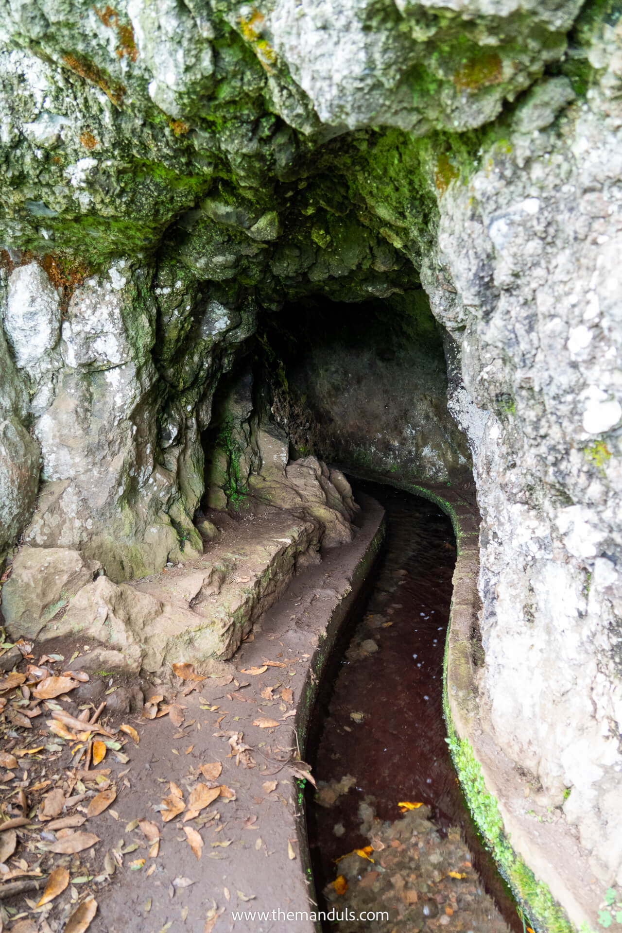 Levada do Rei hike Madeira 15 Levada do Rei hike Madeira