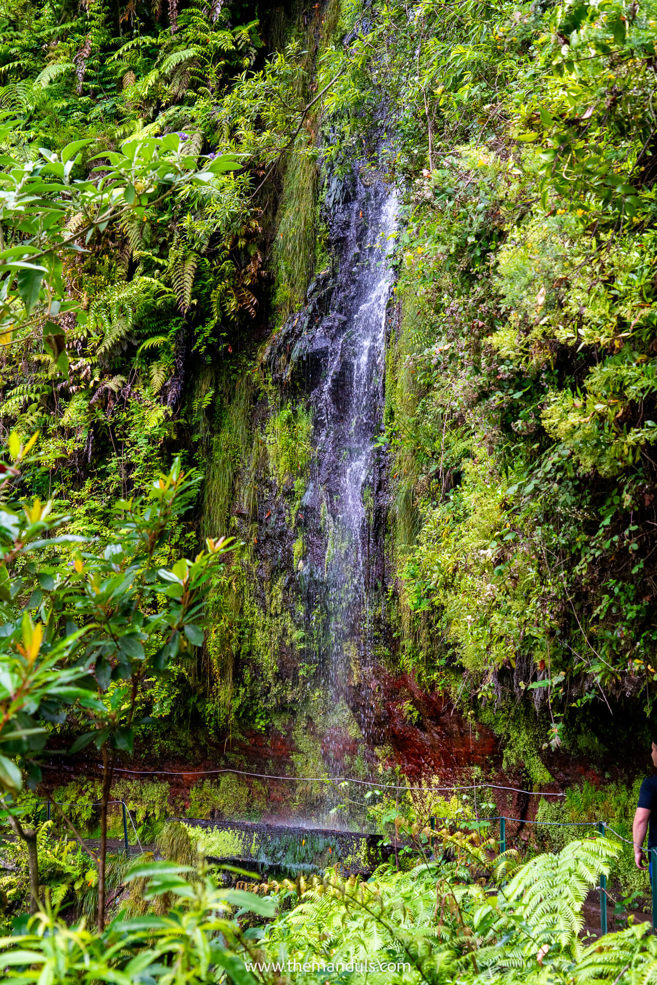 Levada do Rei hike Madeira 16 Levada do Rei hike Madeira