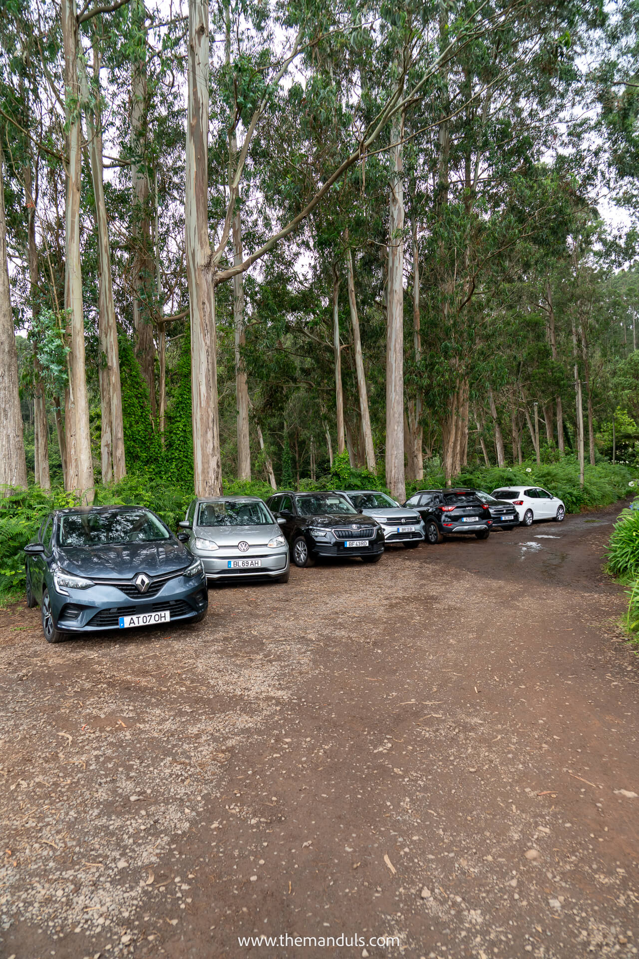 Levada do Rei hike Madeira 5 Levada do Rei hike Madeira