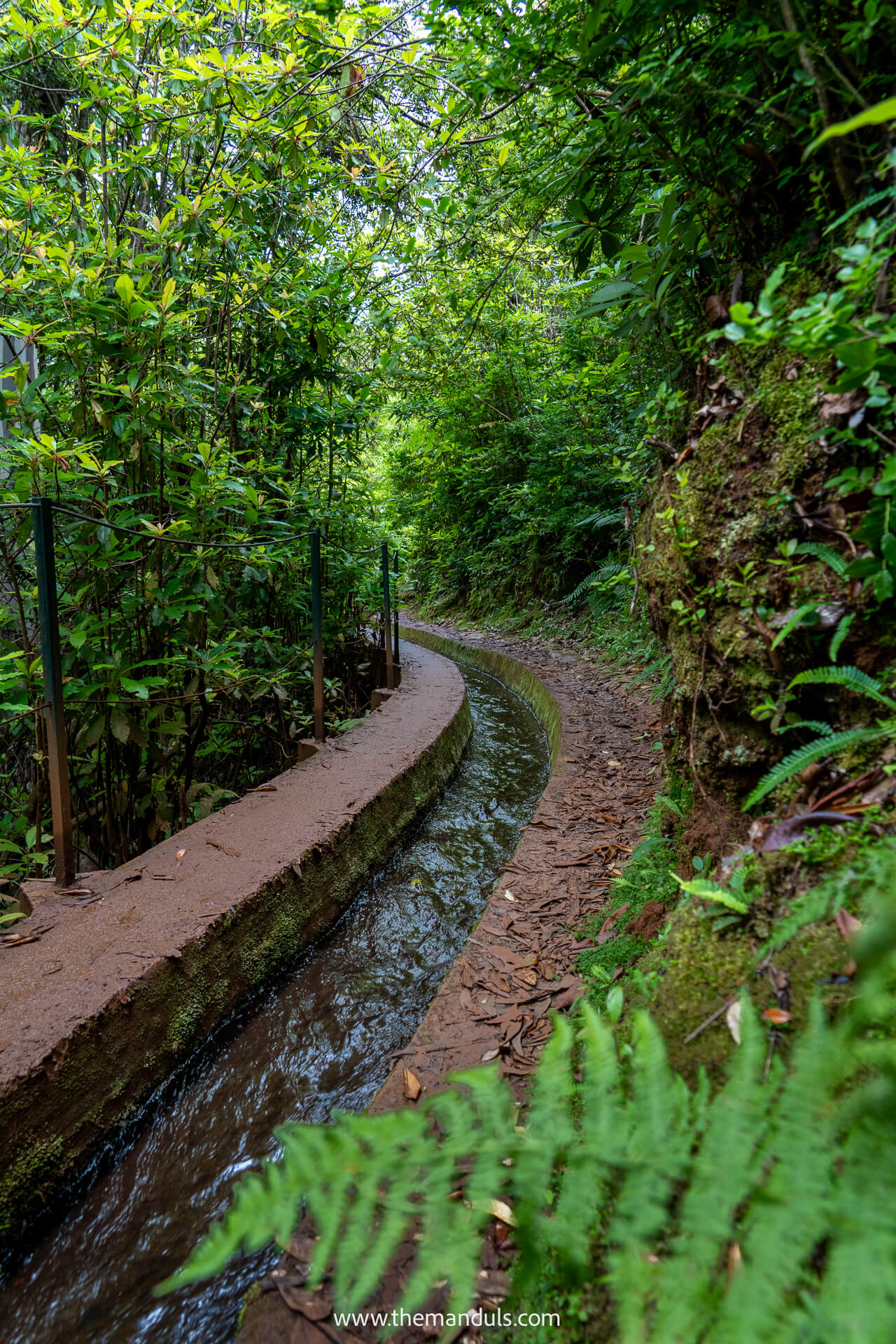 Levada do Rei hike Madeira 8 Levada do Rei hike Madeira