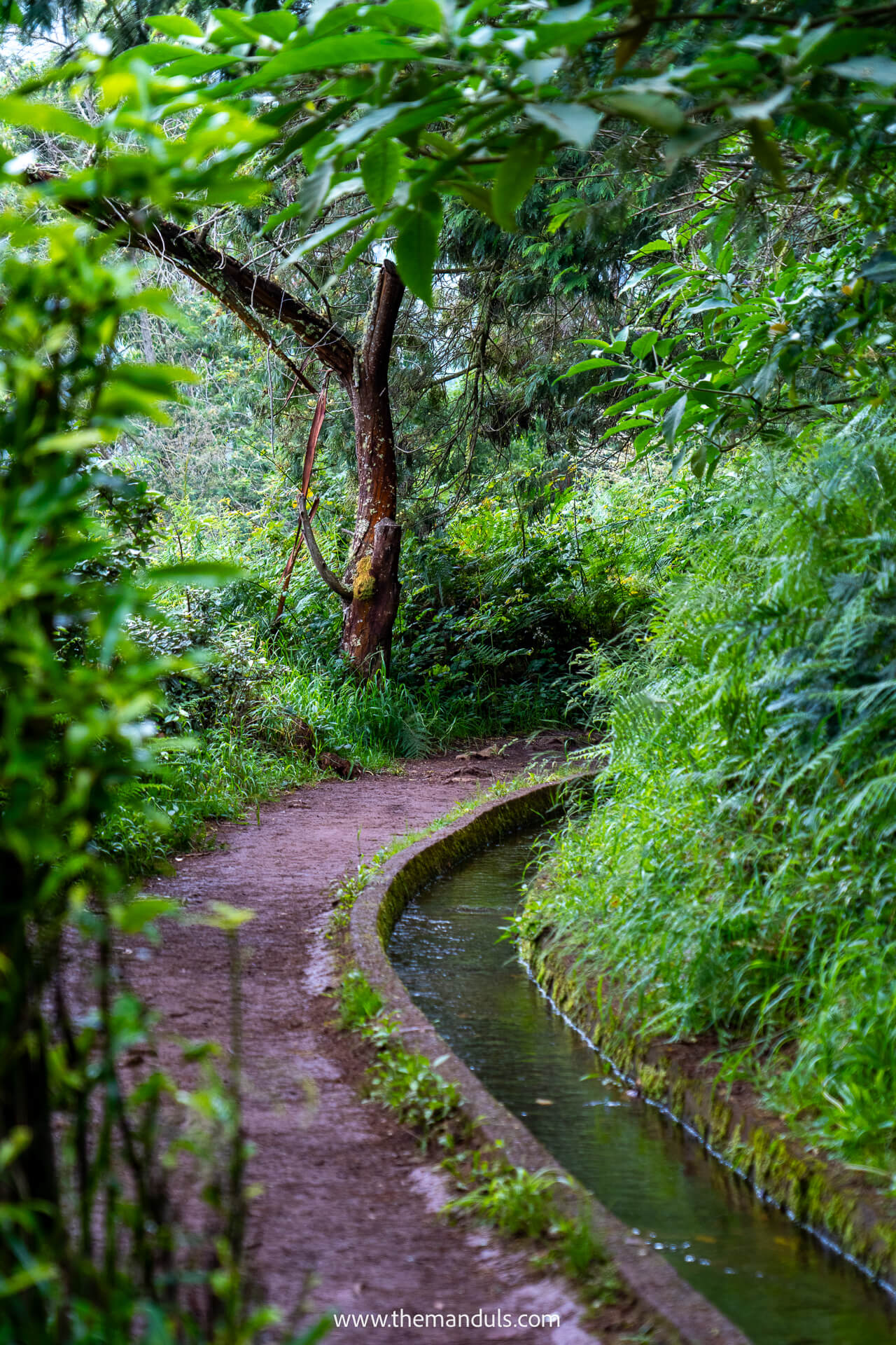 Levada do Rei hike Madeira 9 Levada do Rei hike Madeira
