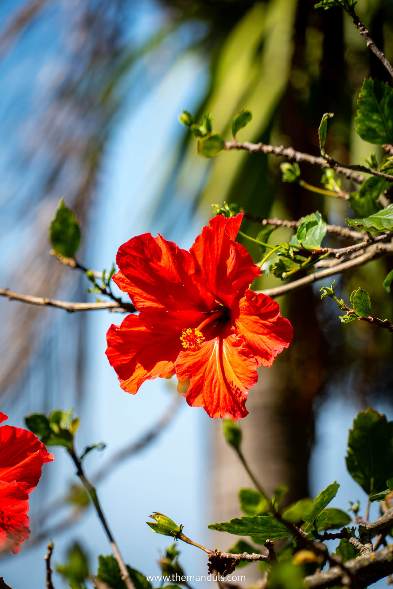 Monte Palace Tropical Garden Funchal Madeira