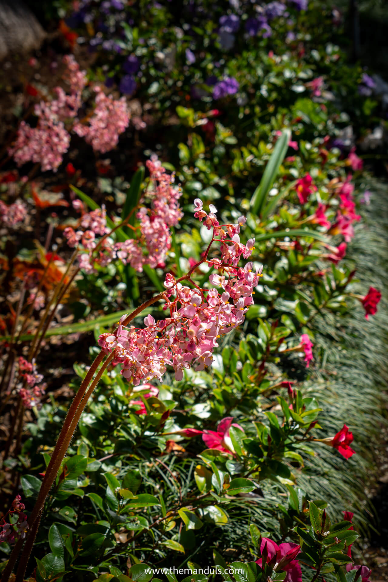 Monte Palace Tropical Garden Funchal Madeira