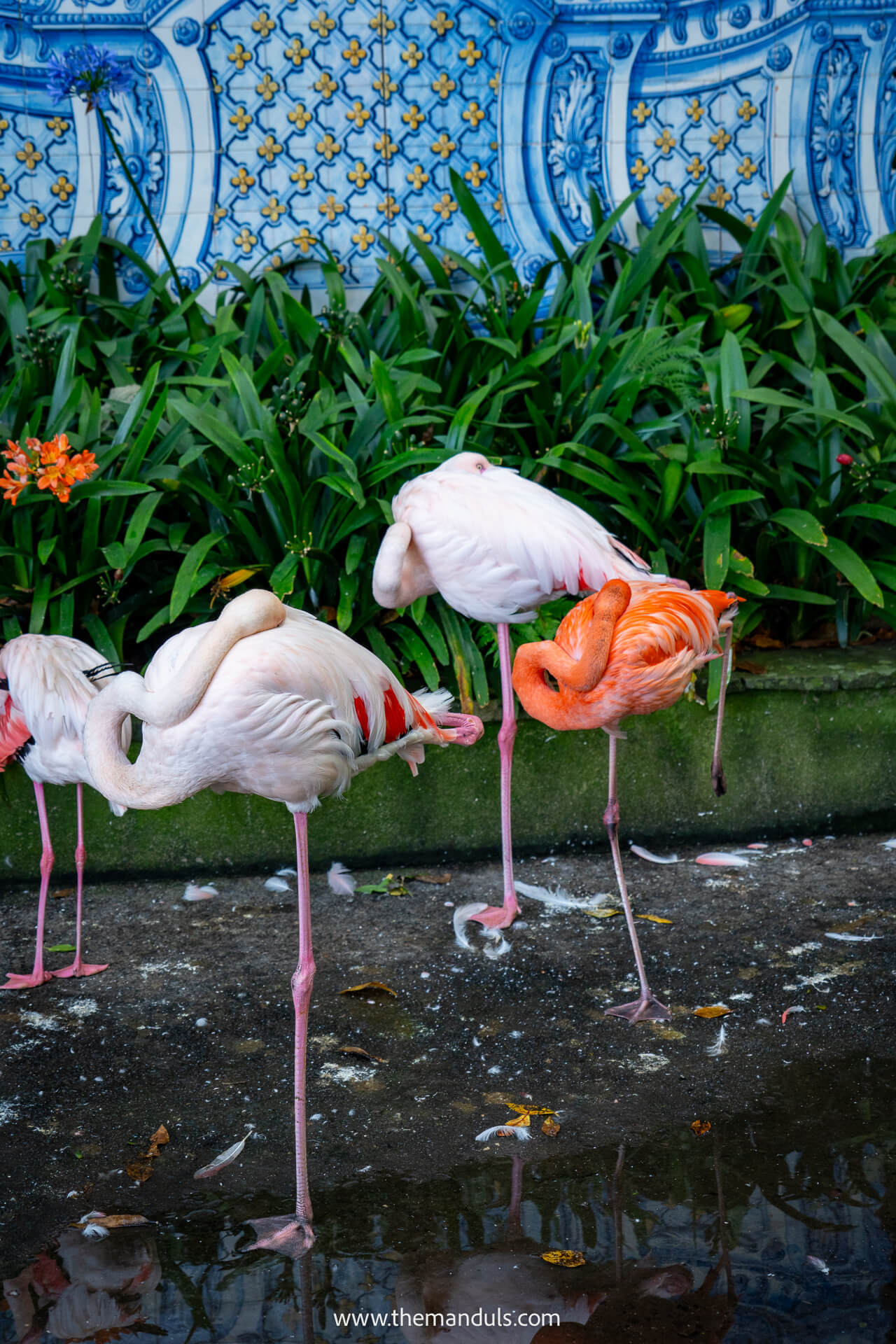 Monte Palace Tropical Garden Funchal Madeira